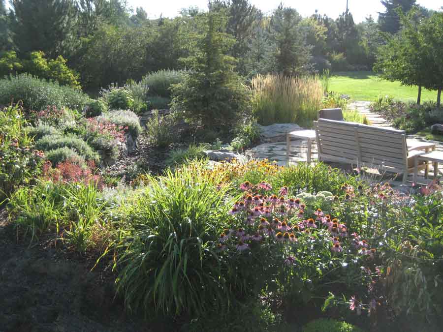 Backyard flagstone patio with garden chairs, surrounded by grasses, coneflowers and evergreens