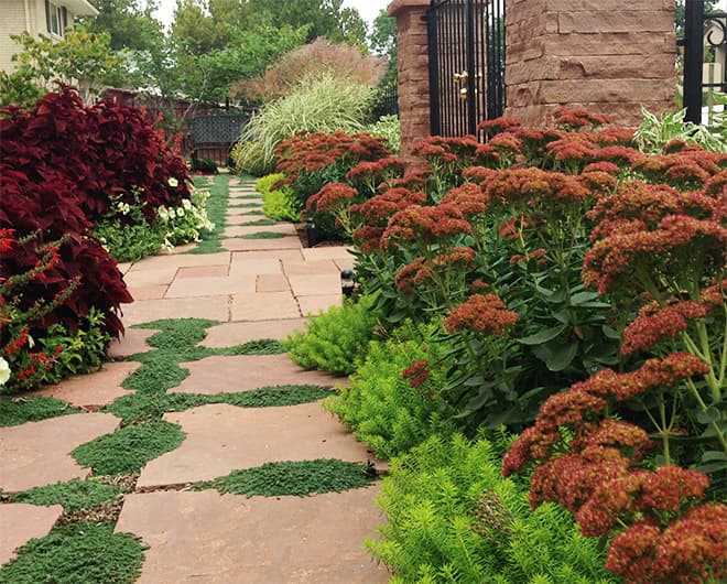 Flagstone path through beds of red foliage, orange sedum and groundcover