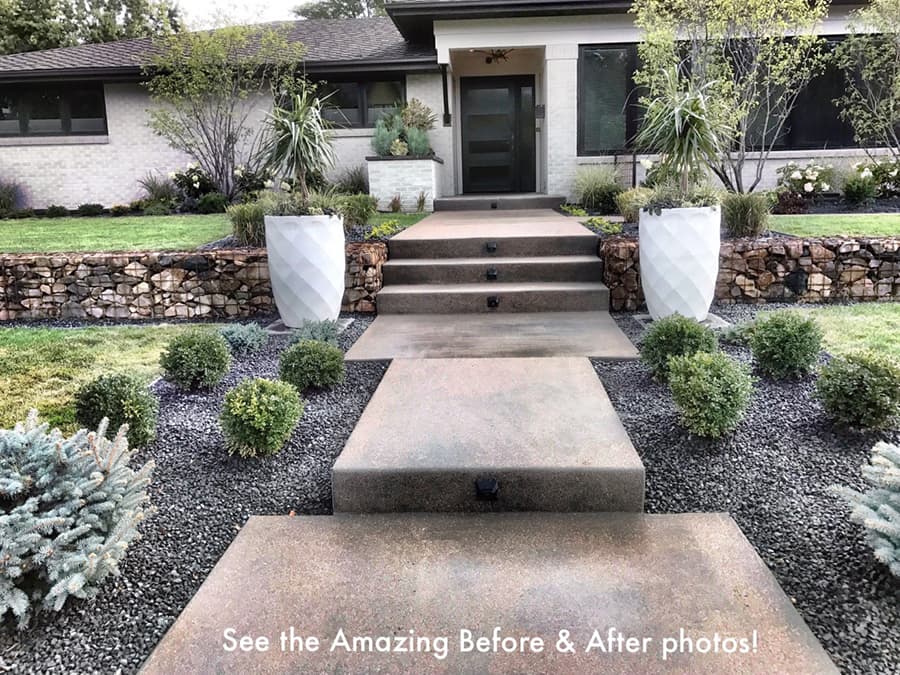 Concrete front walkway and steps to a modern door, with white planters and shrubs